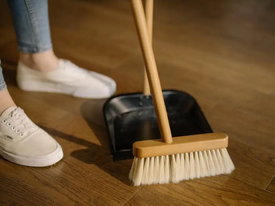Style of House Cleaning