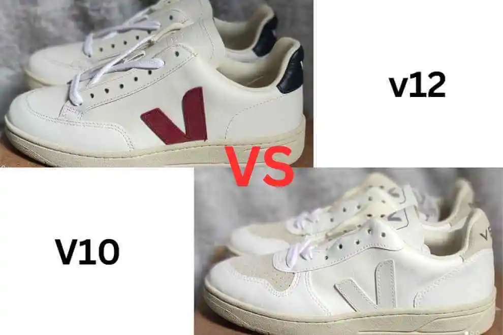 V10 vs V12